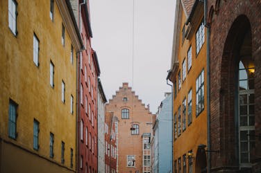 Частная Копенгаген бликов и hygge экскурсия на целый день